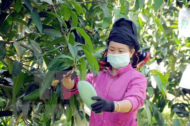 Les exportations de légumes et de fruits s orientent vers de nouveaux marchés